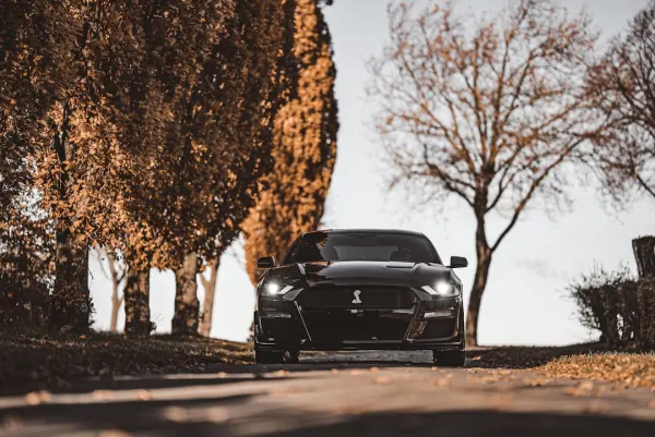 SuperNopea Casino Android/iOS-app